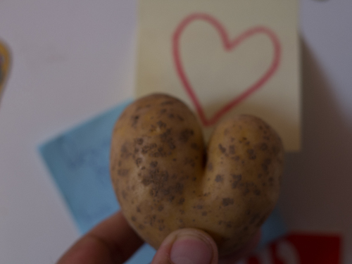 KartoffelHerz
