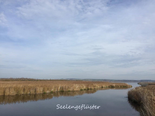 Seelengeflüster Seelengeflüster