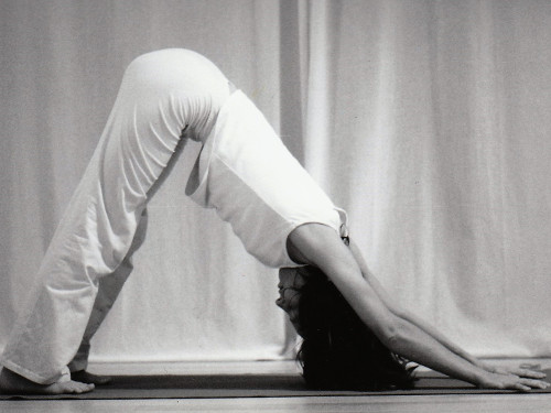Der Hund yoga_ASANA_Hund