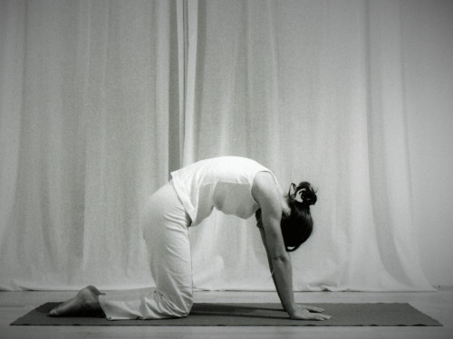 Die Katze yoga_ASANA_Katze